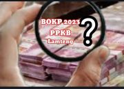 Ketua PWRI Lampung Tengah Dorong APH Ungkap Dana BOKB 2023 Di Dinas PPKB Yang Diduga Adanya Manipulatif