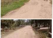 Kampung Putra Buyut Dan Buyut Utara, Enam Tahun Jalan Rusak Parah Tak Pernah Tersentuh