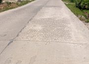Respon Masarakat Terkait Peresmian Jalan Rigid beton buyut ilir, Belum Setahun Jalan Rigid Beton Sudah Mulai Terkelupas Dan Rontok