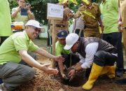 Ardito Wijaya Gerak’kan Penanaman Satu Juta Pohon Matoa