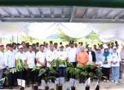 Memperingati Hari Bumi ke-55,  I Komang Koheri Hadiri Gerakan Penanaman 1 Juta Pohon Matoa