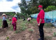 Wakil Bupati I Komang Koheri Pimpin Gotong Royong di Lahan KWT Seputih Raman