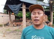 Jeritan Pengerajin Bata Lampung Tengah Tak Butuh Bantuan, Hanya Minta Akses Tanah Lempung