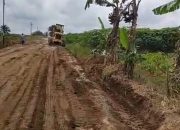 Bukan Bandung Bondowoso, Pria Ini Mampu Ratakan Jalan Berlubang