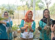 TP PKK Lampung Tengah Gelar Kerja Bakti di Taman Anggrek Agro Park