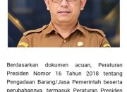 Ketua Aspekindo, Plt Kadis Bmbk Rahmad Danil Terkesan Asal Bicara Dan Tak paham Aturan